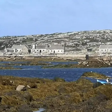 The Haven Apartment