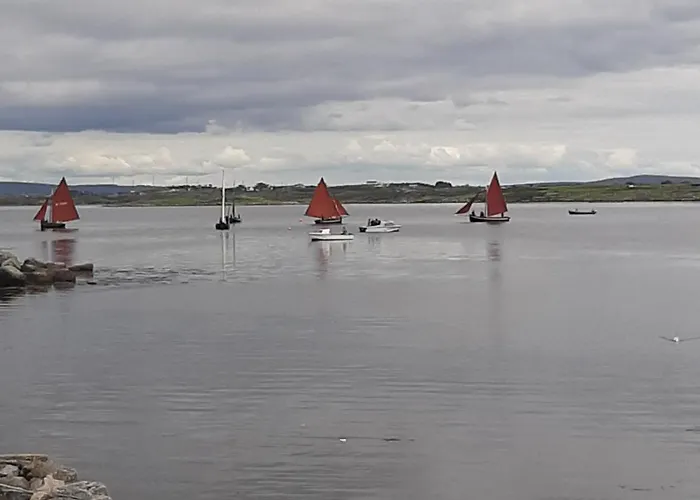 The Haven Galway